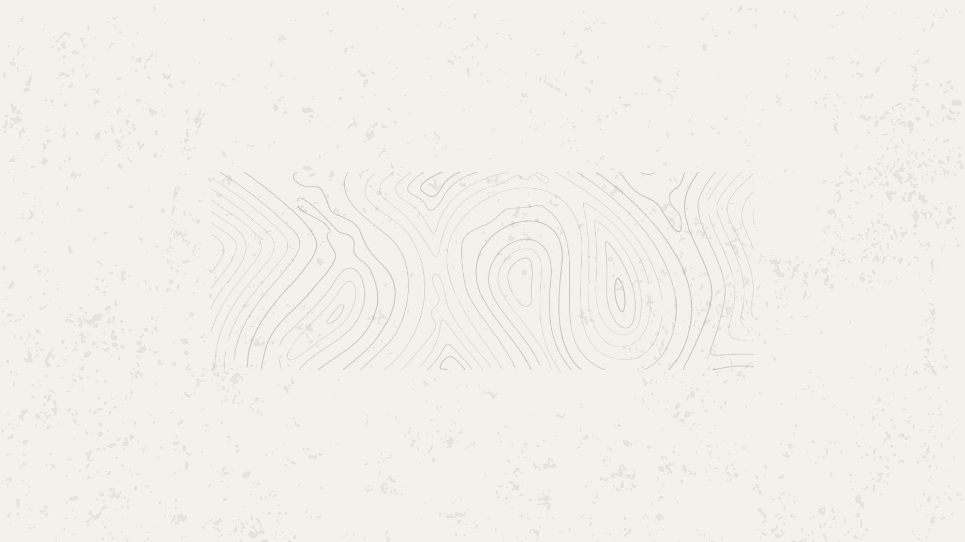 Travel Partner Banner